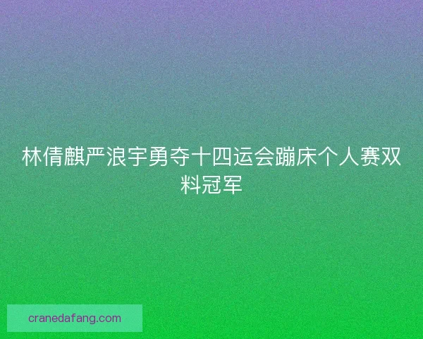 林倩麒严浪宇勇夺十四运会蹦床个人赛双料冠军