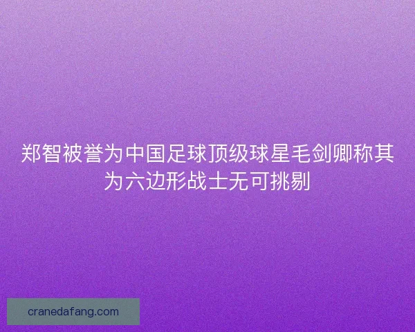 郑智被誉为中国足球顶级球星毛剑卿称其为六边形战士无可挑剔 郑智被誉为中国足球顶级球星毛剑卿称其为六边形战士无可挑剔