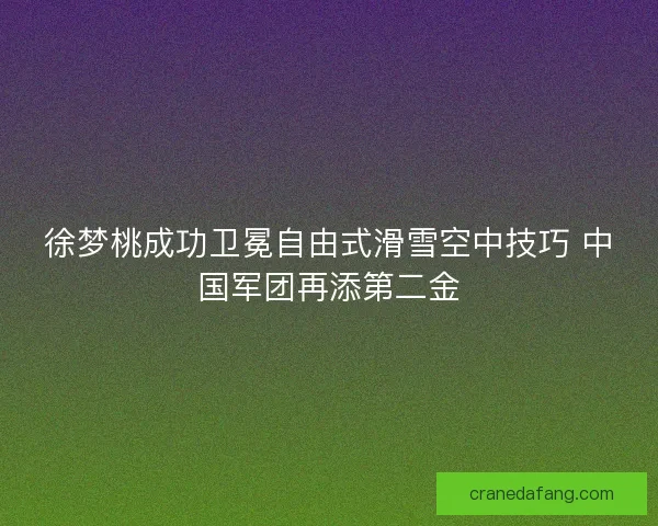 徐梦桃成功卫冕自由式滑雪空中技巧 中国军团再添第二金