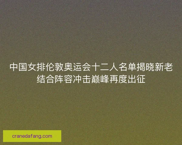 中国女排伦敦奥运会十二人名单揭晓新老结合阵容冲击巅峰再度出征
