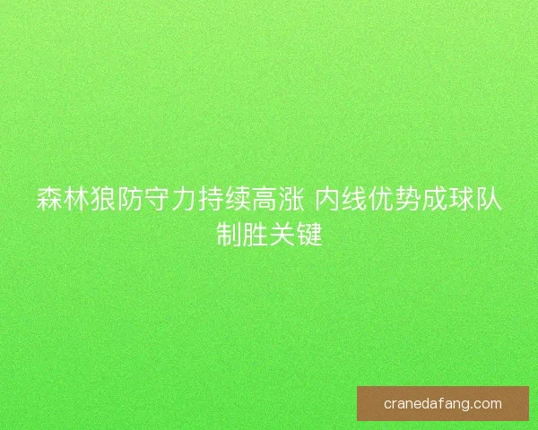 森林狼防守力持续高涨 内线优势成球队制胜关键