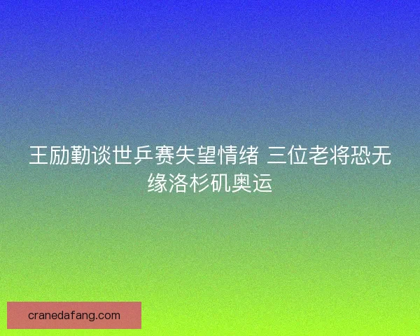 王励勤谈世乒赛失望情绪 三位老将恐无缘洛杉矶奥运