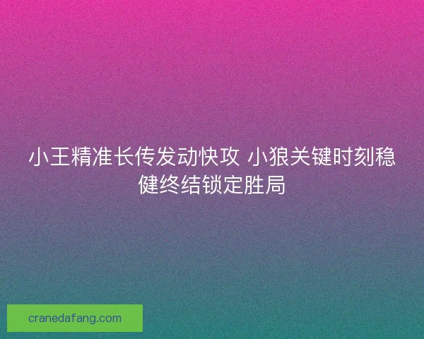 小王精准长传发动快攻 小狼关键时刻稳健终结锁定胜局