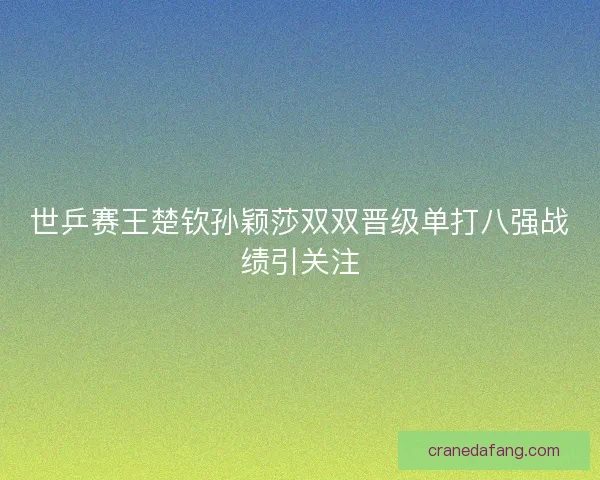 世乒赛王楚钦孙颖莎双双晋级单打八强战绩引关注 世乒赛王楚钦孙颖莎双双晋级单打八强战绩引关注
