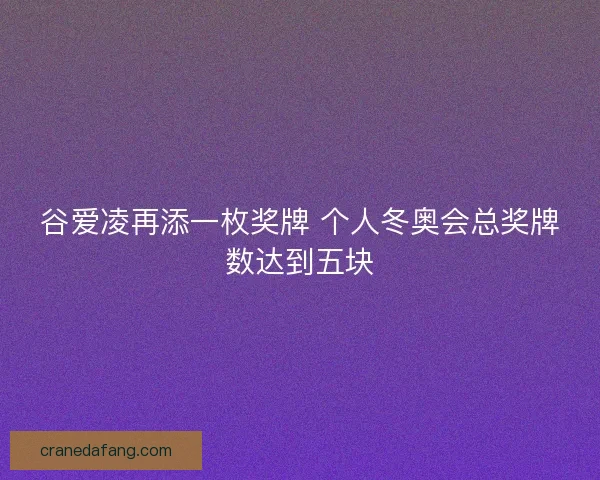 谷爱凌再添一枚奖牌 个人冬奥会总奖牌数达到五块 谷爱凌再添一枚奖牌 个人冬奥会总奖牌数达到五块