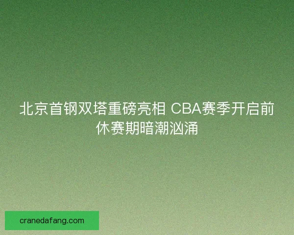 北京首钢双塔重磅亮相 CBA赛季开启前休赛期暗潮汹涌