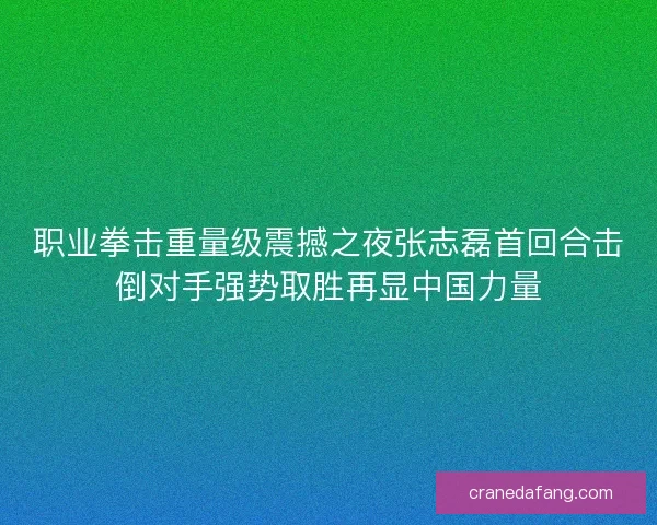 职业拳击重量级震撼之夜张志磊首回合击倒对手强势取胜再显中国力量